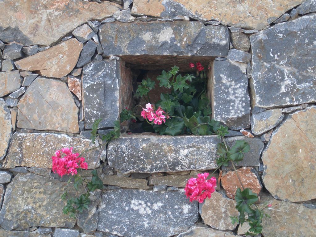 Villa Tholos Crete Kavoúsion Esterno foto